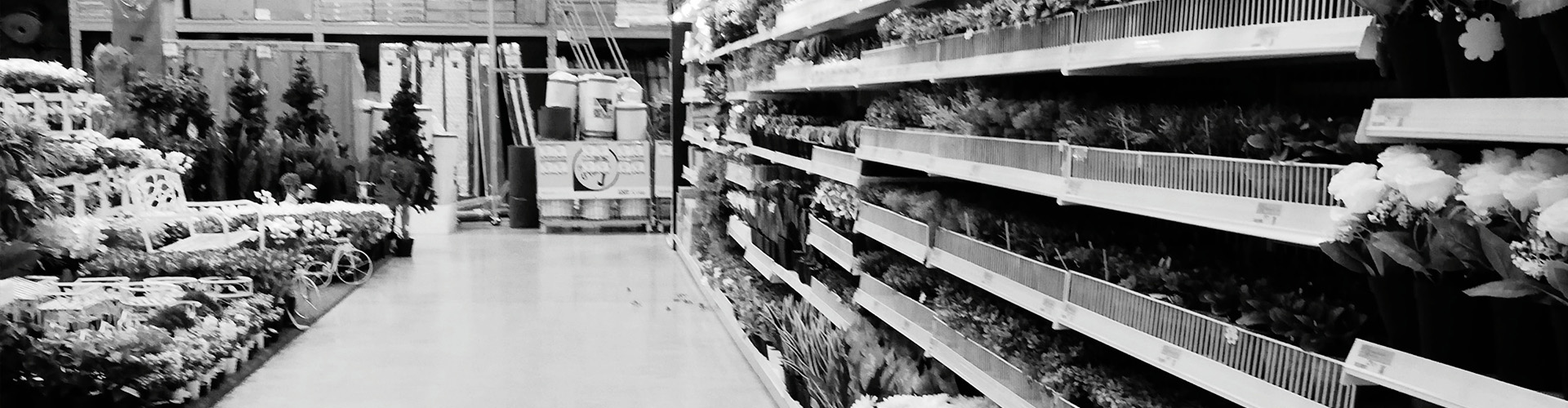 titolo immagine descrizione immagine